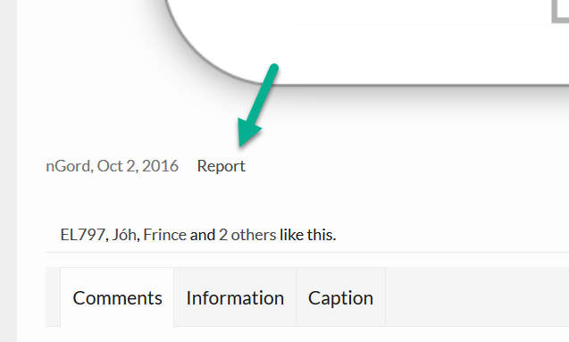 Report.png