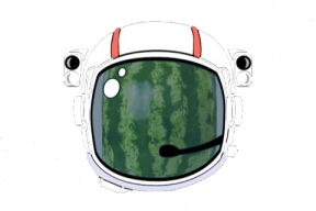 SpaceMelon