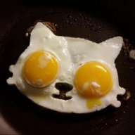 Cats Lay Eggs