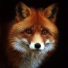 Keyfox