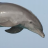 Dolphinator