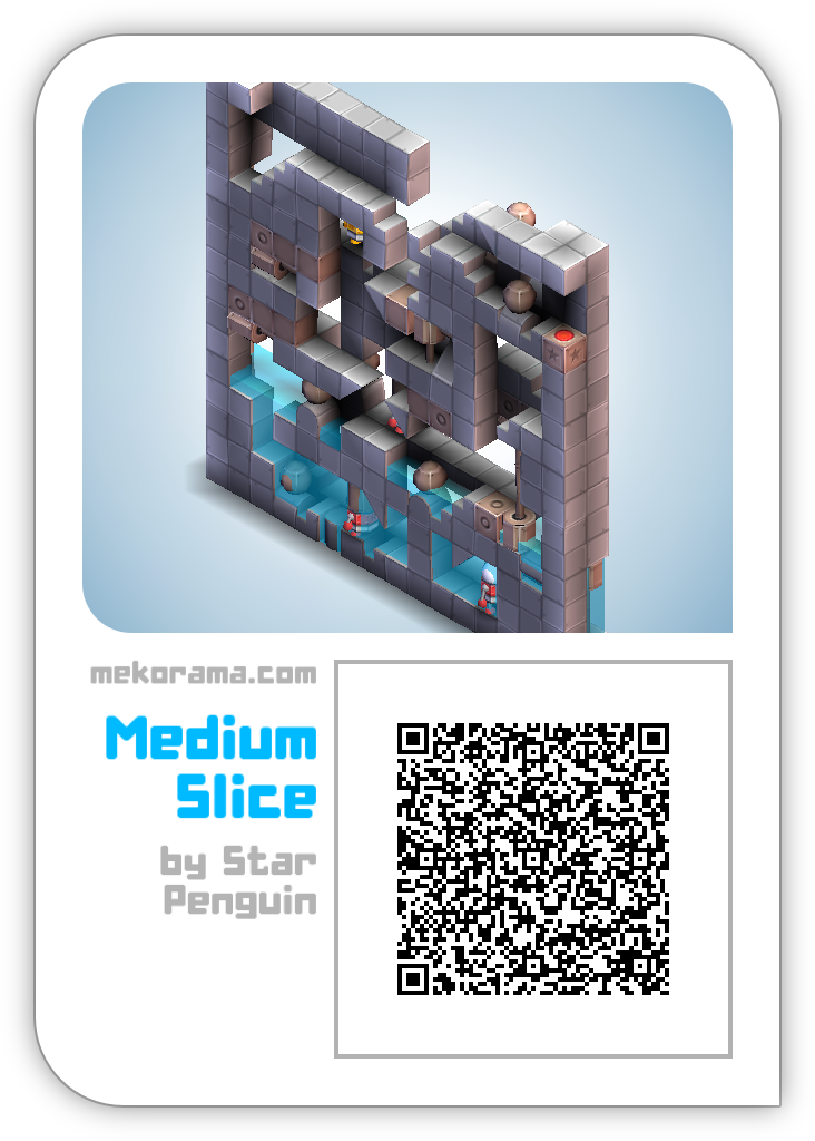 Medium Slice