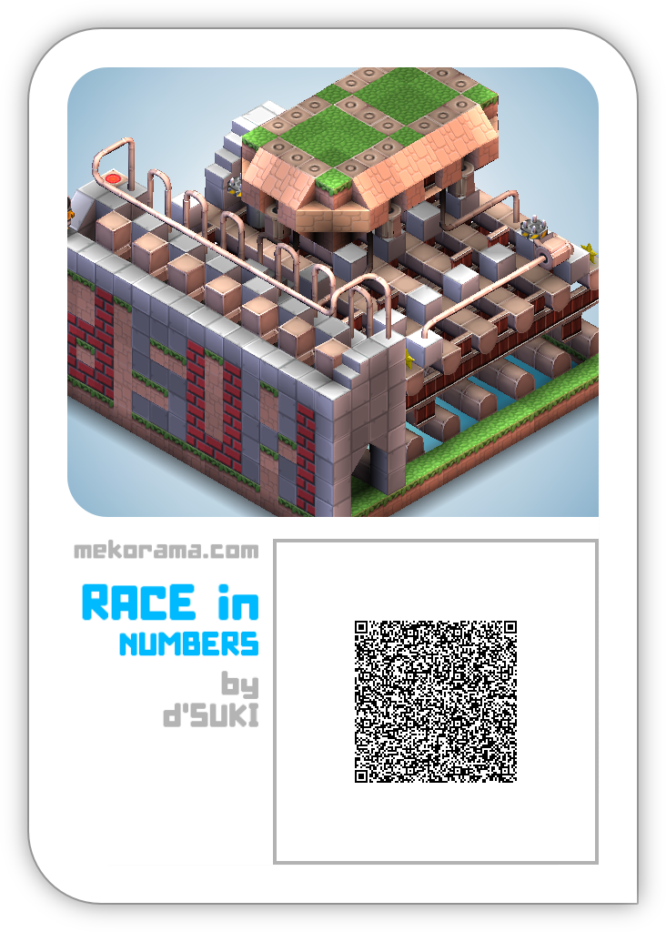 RACE in NUMBERS